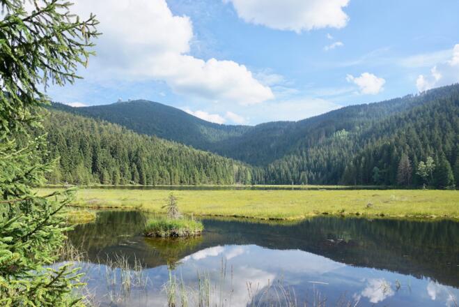 Blick vom Nordufer zur großen schwimmenden Insel und Großer Arber