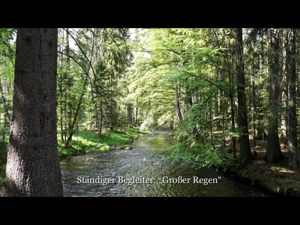Wanderweg am &quot;Großen Regen&quot;