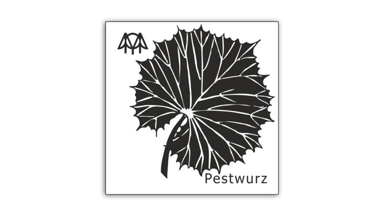 Pestwurz