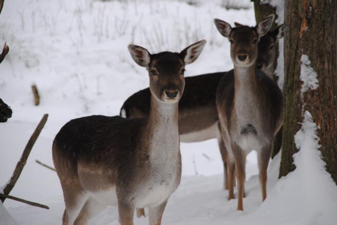 Herrnraster Weitblick-Runde