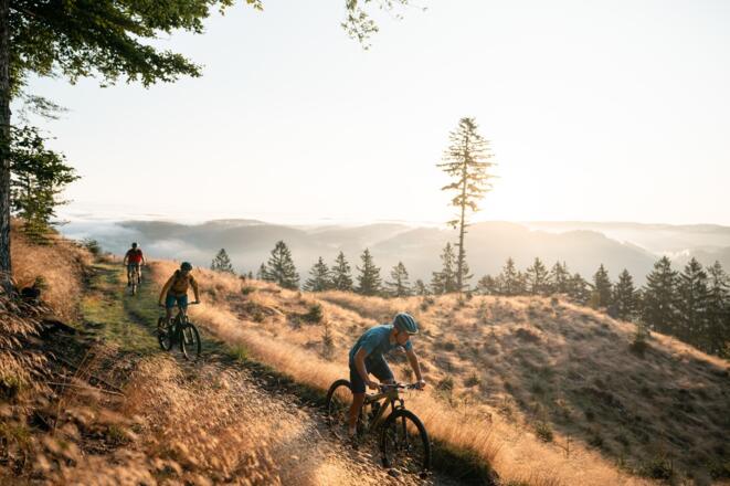 DreiMountainbikerWaldrand_OberoesterreichTourismusMuehlviertlerAlmFreistadtMoritzAblinger.jpg