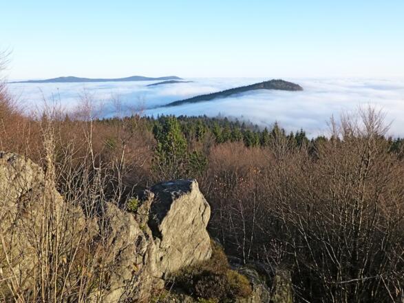 Hirschenstein-Fernsicht bei Inversionswetterlage