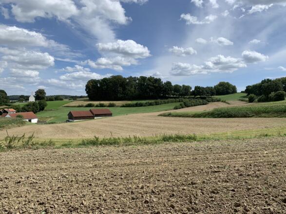 Landschaft bei Ilmried