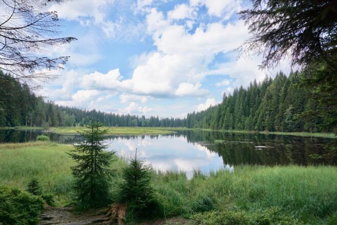 Blick vom Süd-Westufer auf den See
