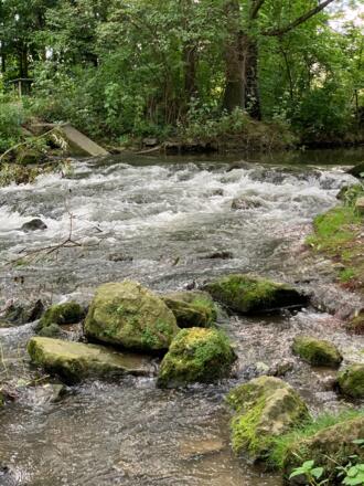 Biberlehrpfad Pfaffenhofen
