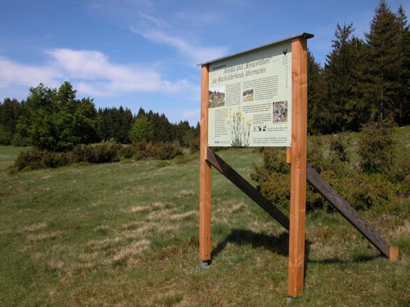 Wacholderheide am Weg