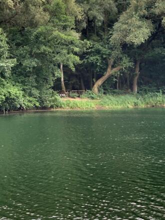 03_Baden im Feilenmoos.jpg