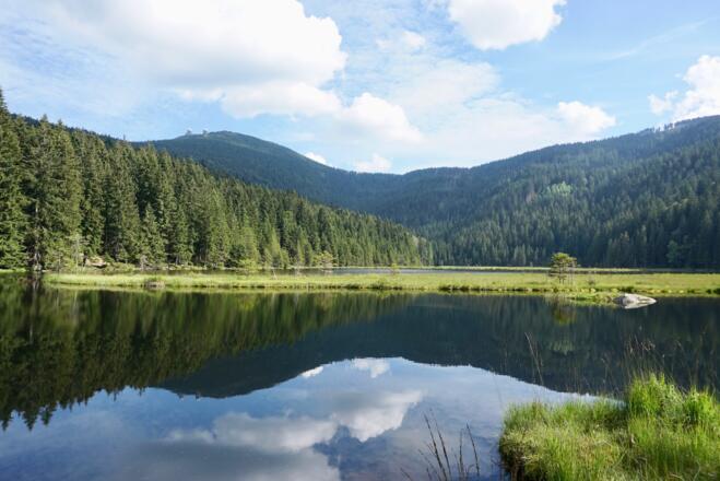 Blick vom Nordufer zur großen schwimmenden Insel und Großen Arber