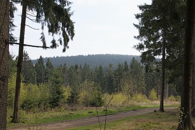 Blick zum Predigtstuhl am Beginn der Tour