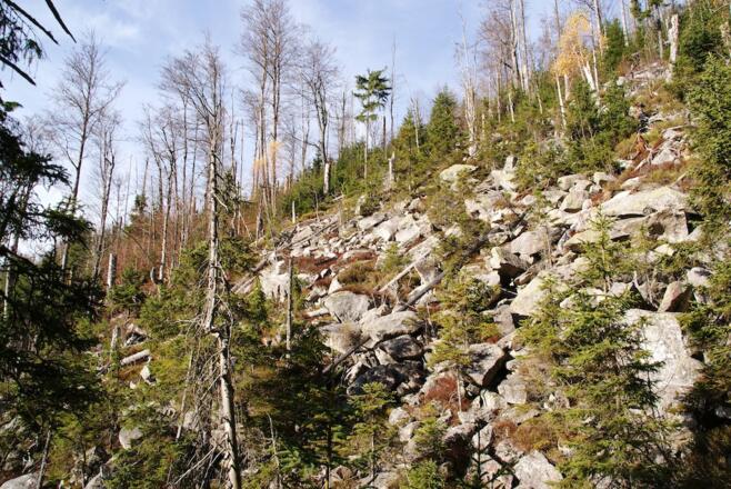 Im Teufelsloch