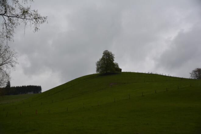 Waldluft Runde