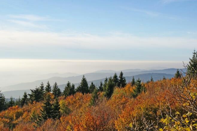 Hirschenstein-Aussicht nach Nord-West