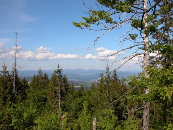 Aussicht vom Klausenstein zum Arber
