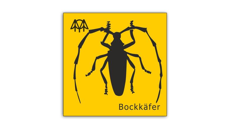 Bockkäfer.jpg