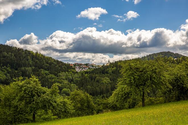 Blick auf St. Leonhard bei Freistadt