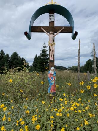 Klöster und Kirchen Süd - Blumenwiese zwischen PAF und Affalterbach (1).JPEG