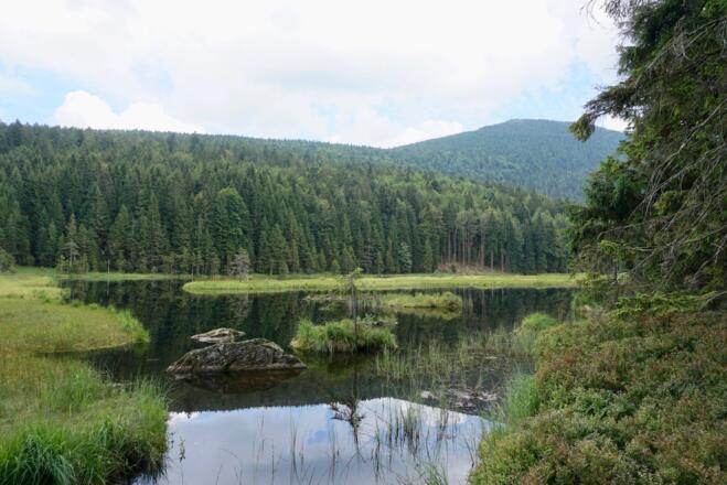 Blick vom Westufer auf den See mit Großem Arber dahinter