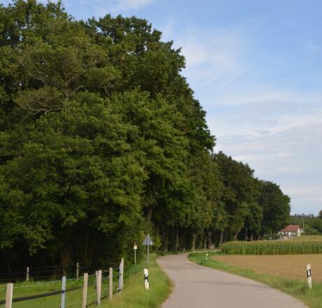 Naturdenkmal Maushof.JPG