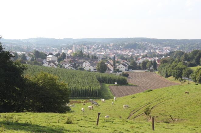 Blick auf Pfaffenhofen