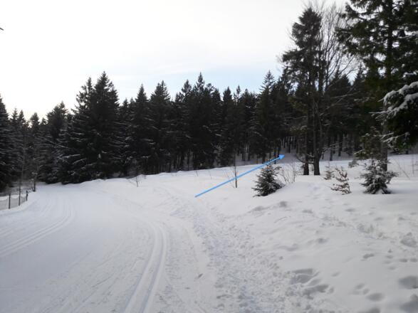 5. Wacholderheide mit Predigtstuhlaufstieg