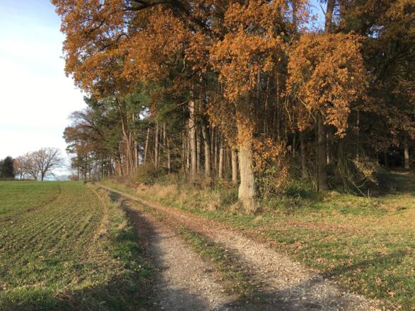 Panoweg Nord_3 ©Stadt Pfaffenhofen.jpg