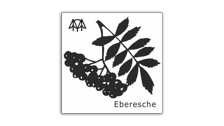 Eberesche