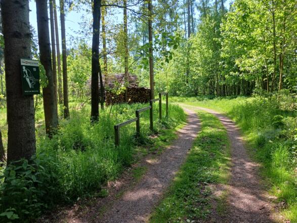 Hammerleithenweg mit Fitnesspfad