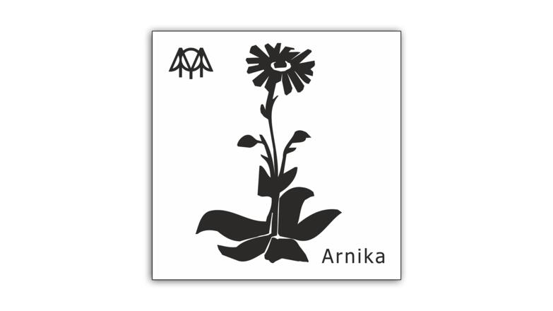 Arnika