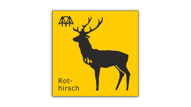 Rothirsch