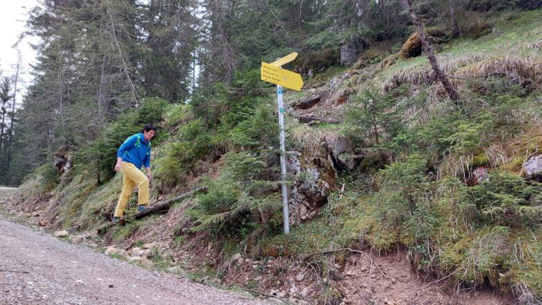mehrmals die Forststraße querend