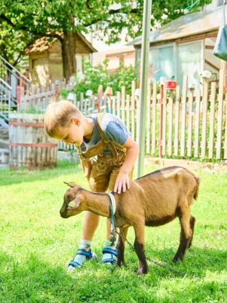 Stallarbeit am Biobauernhof Stadler