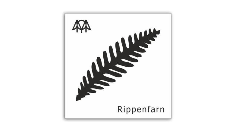 Rippenfarn
