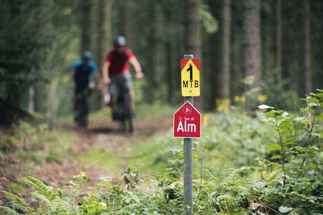 TourdeAlmSchild_OberoesterreichTourismusMuehlviertlerAlmFreistadtMoritzAblinger.jpg