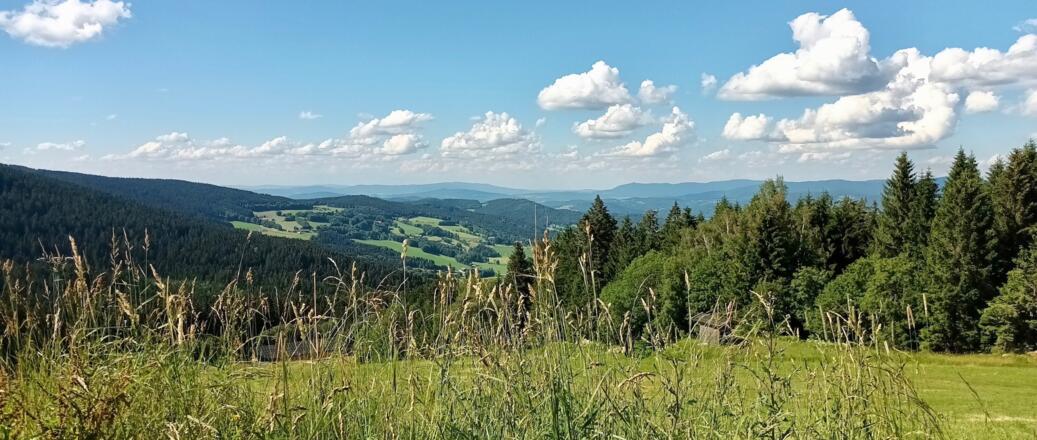 Fernsicht vom Predigtstuhl-Lifthang