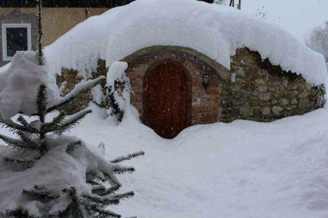 Ferienhaus Naschgarten in Bad Goisern - Erdkeller im Winter