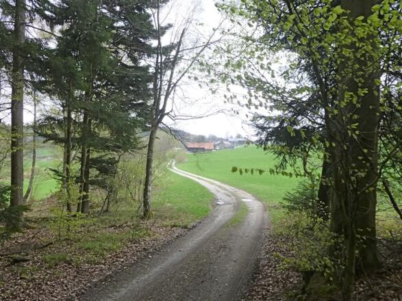 Weg von Öd nach Münchszell
