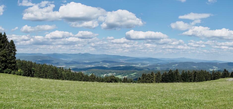 Panorama von Hinterwies mit Gr. Arber in der Mitte und Rachel rechts