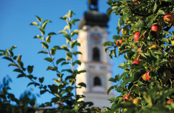 Stadtpfarrkirche Mariä Himmelfahrt Geisenfeld