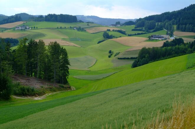 Um Kaltenberg