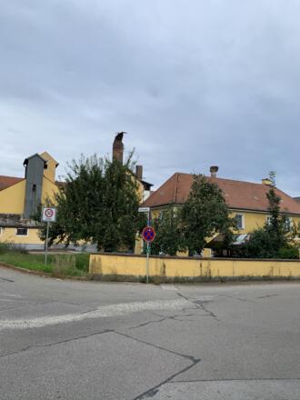 Rückenwind Panoramatour - Brauerei Pörnbach.JPEG