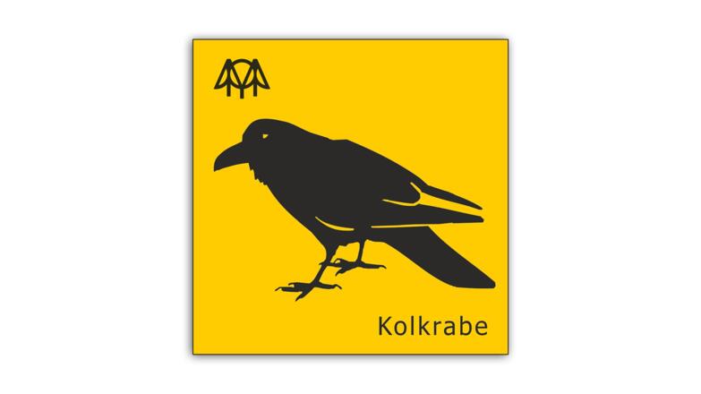 Kolkrabe