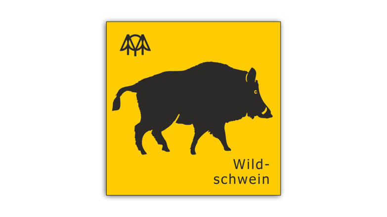 Wildschwein