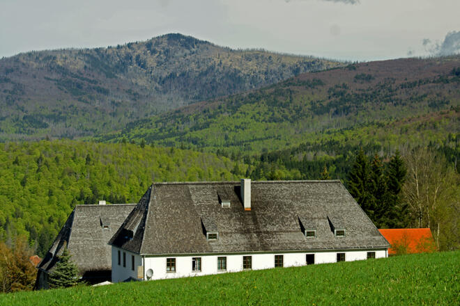 Waldhäuser