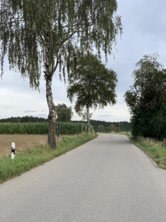 Straße bei Schachach in Richtung Kemmoden (2).JPEG