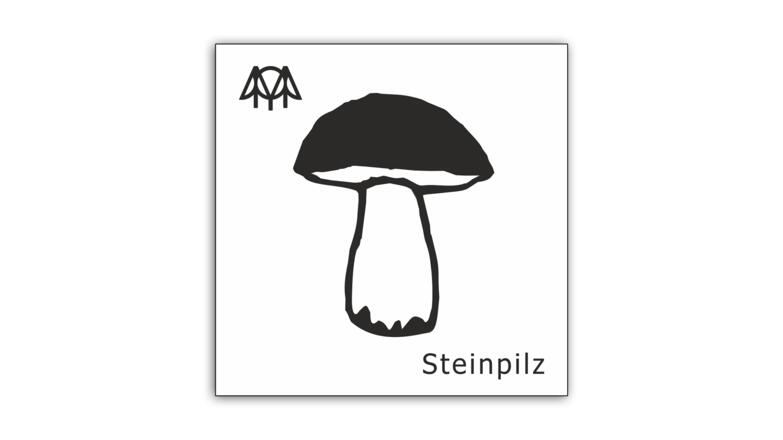 Steinpilz