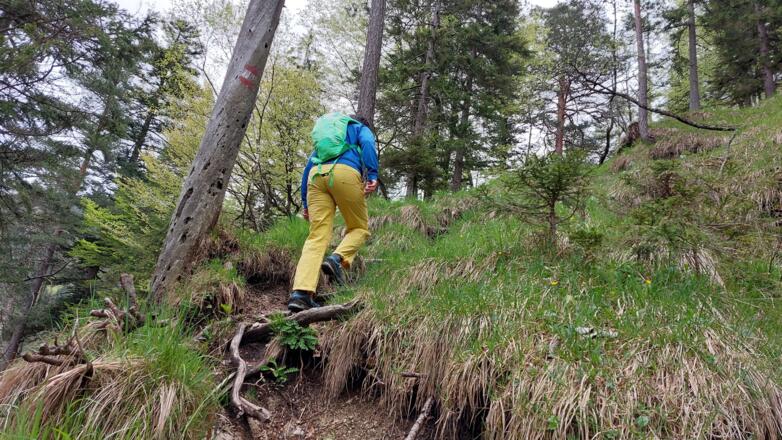 der steilste Abschnitt der Wanderung