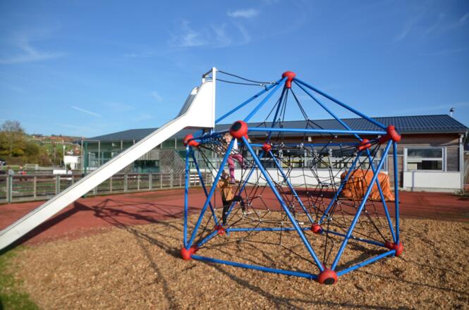 Kletterspinne