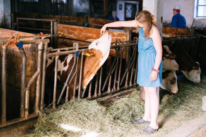 Tiere am Biobauernhof Stadler