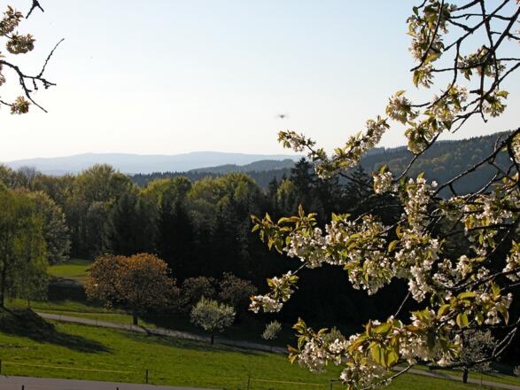 Aussicht bei Kostenz