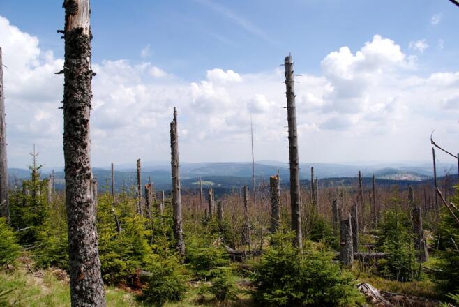 Fernsicht von links zum Dreisessel, Almberg, Heidel, Finsterau